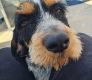 Sandy3_04-23
