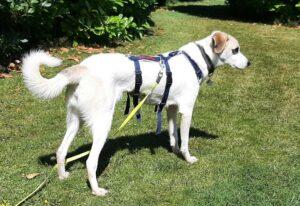Betty10_07-23