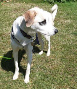 Betty8_07-23