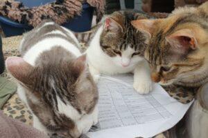 Mano und Mano April_3