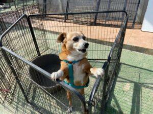 Mary_13_05_23