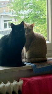 Diego_Rose3