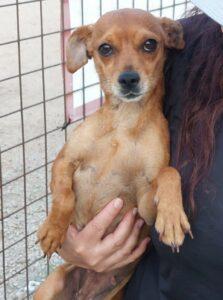 Linda1_06-23
