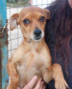 Linda2_06-23