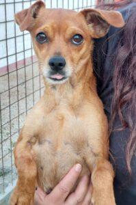 Linda5_06-23