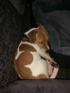 Coco_im Glück1