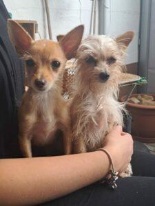 MartaMartina_Juli_PS2