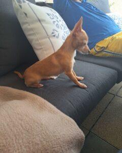 Martina_Juli_PS1