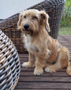 Pasqualina_imGlück1