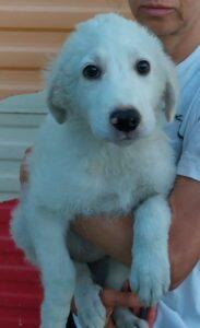 Samantha1_07-23