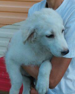 Samantha2_07-23