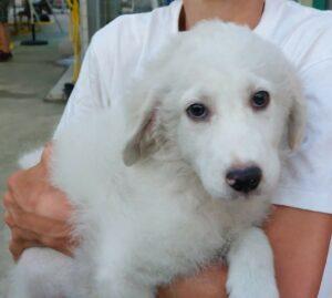 Samantha4_07-23