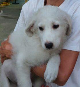 Samantha5_07-23