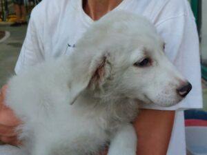 Samantha6_07-23