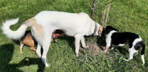 Betty7_08-23