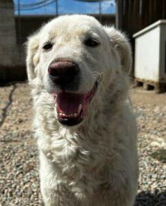 09-23_Beatrice10
