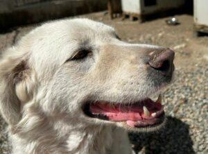 09-23_Beatrice3