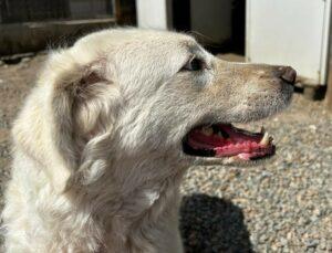09-23_Beatrice4
