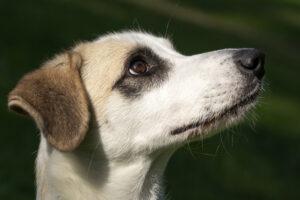 09-23_Betty2