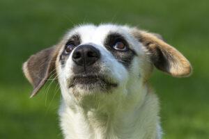 09-23_Betty3