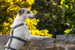 09-23_Betty8