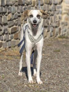 09-23_Betty9