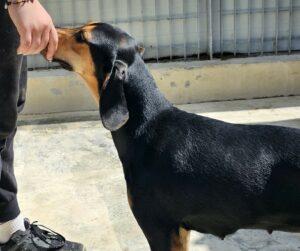 09-23_Luisa6