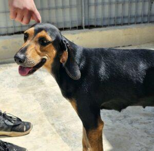 09-23_Luisa7