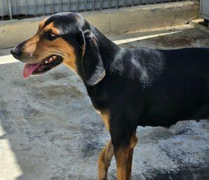09-23_Luisa8