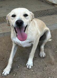 Sammy3_09-23
