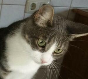 Lidina 2 neu 3.10.23