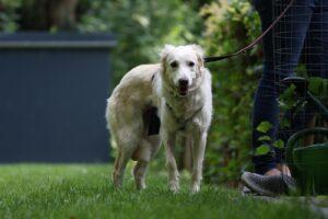 Panina PS11_15.07.2024