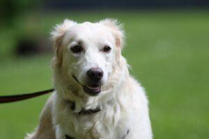 Panina PS12_15.07.2024