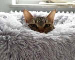 Ina_07-25_1
