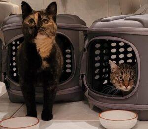 Pasquina und Pina 1 25.11.