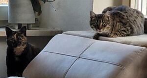 Pasquina und Pina 25.11