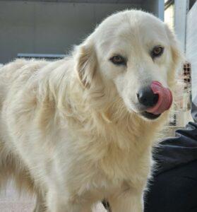 01-24_Fergus19