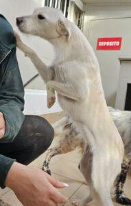 01-24_Umberta12