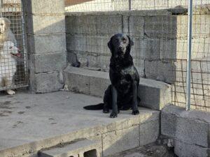 24-01_Calimero_5