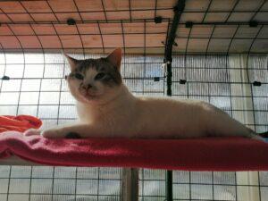 Birbo5