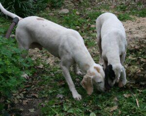 02-24_Rome&Giulietta1