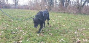 02-24_Shari_PS_4