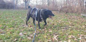 02-24_Shari_PS_6