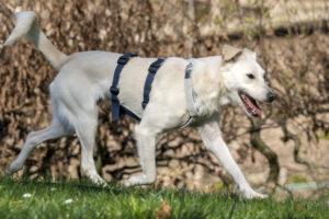 03-24_Umberta-Shooting10