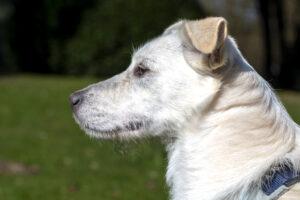 03-24_Umberta-Shooting11