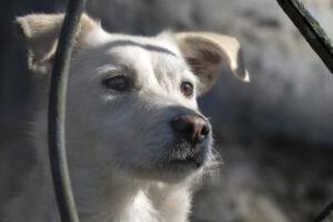 03-24_Umberta-Shooting4