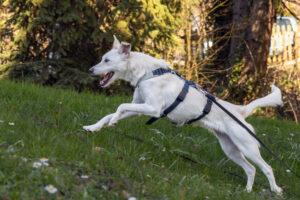 03-24_Umberta-Shooting6