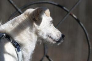 03-24_Umberta-Shooting7
