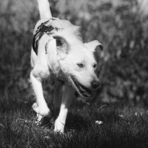 03-24_Umberta-Shooting9