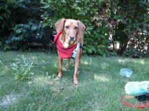 JamPS_07-24